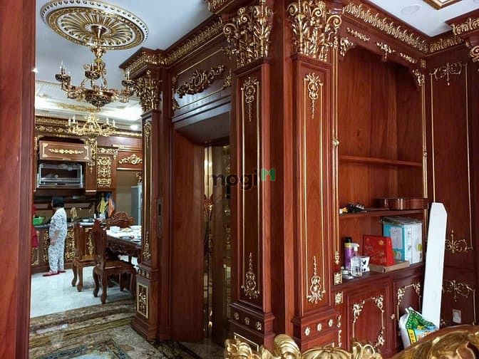 Hình ảnh Biệt Thự VIP Gần VinCom Gò Vấp,DTSD 600m2, 38.5 tỷ TL