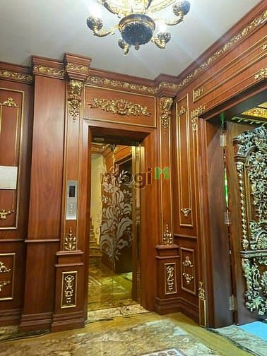 Hình ảnh Biệt Thự VIP Gần VinCom Gò Vấp,DTSD 600m2, 38.5 tỷ TL