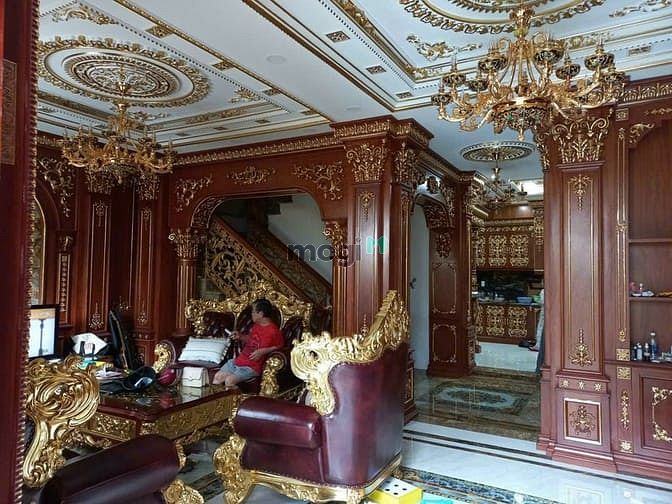 Hình ảnh Biệt Thự VIP Gần VinCom Gò Vấp,DTSD 600m2, 38.5 tỷ TL