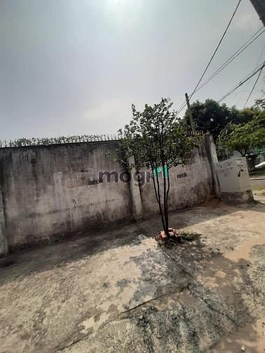 Hình ảnh Bán đất trường học góc 3MT đường Số 30, P. Bình Trị Đông B, 40 x 68m.