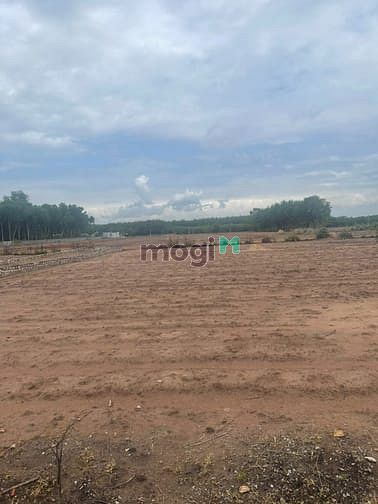 Hình ảnh Bán đất thổ cư 287 xã tóc tiên -phú mỹ