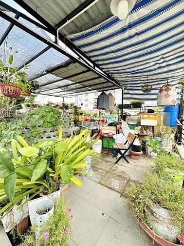 Hình ảnh SIÊU PHẨM Ngay Hoàng Văn Thụ -Quận Tân Bình