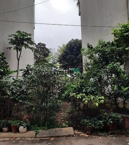 Hình ảnh Đất phân lô Văn cao View Hồ tây. Lô góc 3 thoáng. 105m2 MT 8m hơn 23T
