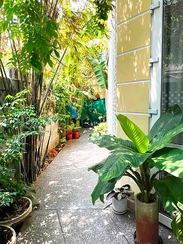 Hình ảnh Gần Mũi Tàu Cộng Hòa, Biệt Thự Cổ 252m2 Ngang 10m Chỉ 90tr/m2