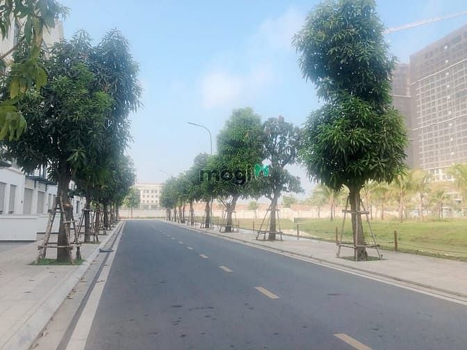 Hình ảnh Nhà phố cho thuê gần vincom có bếp ngăn phòng