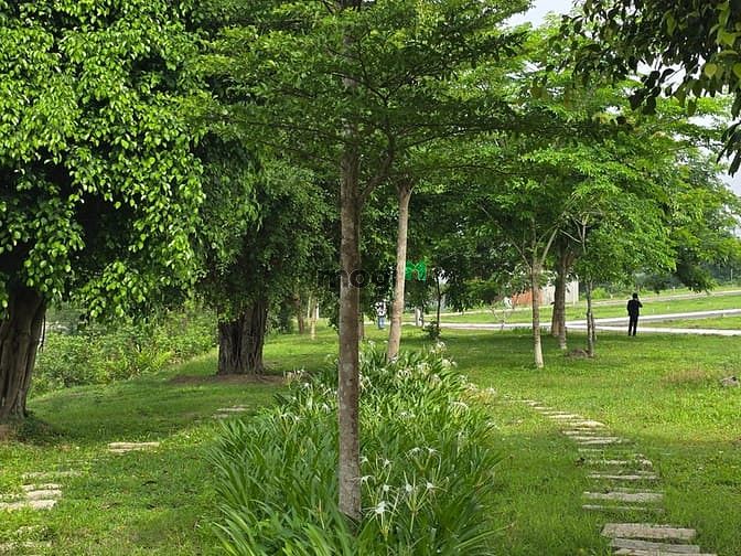Hình ảnh Chỉ cần 400tr sở hữu ngay đất trung tâm TP Biên Hòa kế bên Sơn Tiên