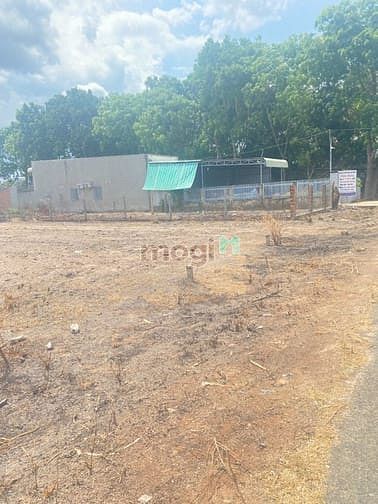 Hình ảnh - 339m2 giá 2 tỷ 400 triệu - Đường trước đất 8m – xây dựng tự do - SHR