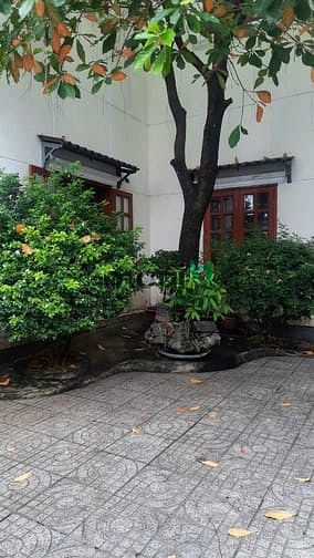 Hình ảnh Biệt Thự Sân Vườn 1T1L, P. Linh Tây