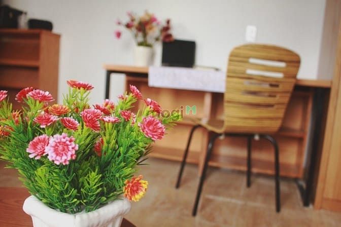 Hình ảnh Siêu phẩm Trang Chủ MB66.COM / Đăng Ký Tặng 66K 1pn ban công q7