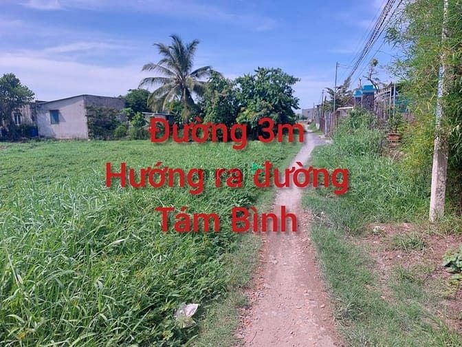 Hình ảnh HOT 440m2 có sẵn 57m2 thổ cư . khu dân cư tân đức 1/ đường Tám Bình