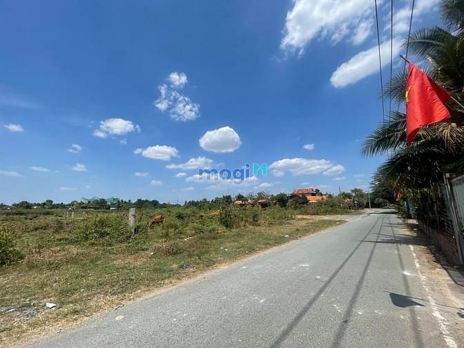 Hình ảnh Bán đất mặt tiền Cầu Đình 13000m2 siêu đẹp, 145 tỷ.