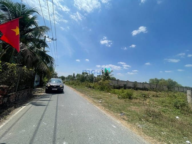 Hình ảnh Bán đất mặt tiền Cầu Đình 13000m2 siêu đẹp, 145 tỷ.