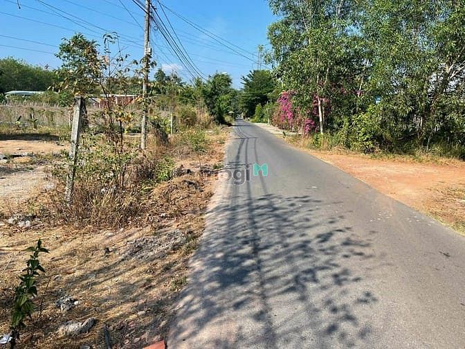 Hình ảnh Bán đất đường Bàu Lách - 1901m2 - 26.6x72 - 300m2 thổ cư - Củ Chi