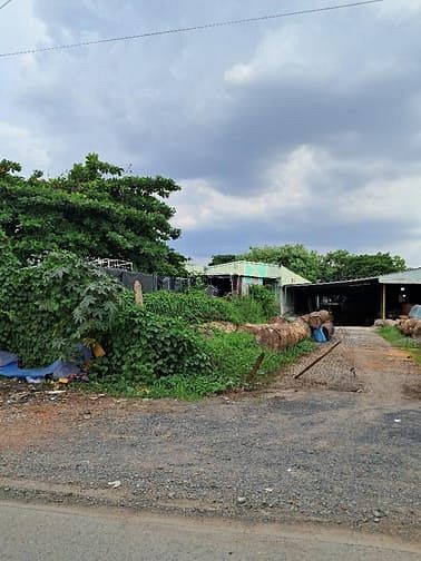 Hình ảnh Lô đất mặt tiền đường 10m an phú đông quận 12 - 540m2, ngang gần 8m -