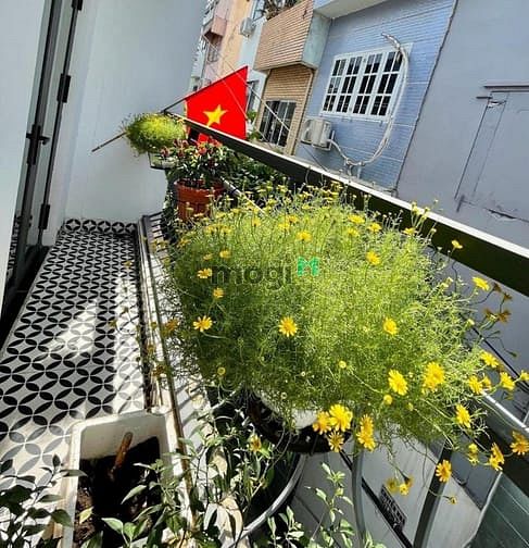 Hình ảnh Nhà đẹp ngay Đinh Công Tráng- Q1