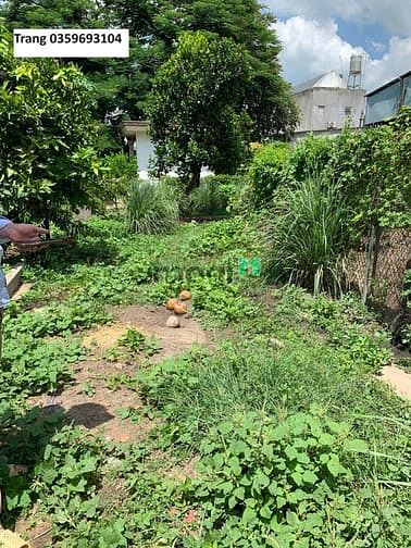Hình ảnh Bán 140m2 đất sổ riêng thổ cư 100% cách đường 768 50m