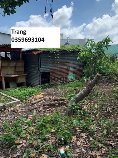 Hình ảnh Bán 140m2 đất sổ riêng thổ cư 100% cách đường 768 50m