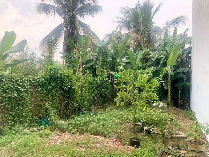 Hình ảnh Đất hẻm xe hơi,gần ngay phạm văn đồng,ven sông sg,thủ đức,5,3 tỷ/60m2