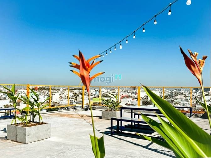 Hình ảnh ‼️Phòng Mới Rộng Gác Cao - An Ninh - Sạch Sẽ