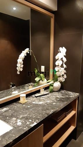 Hình ảnh Penthoue Cảnh Viên nội thất cao cấp 4pn