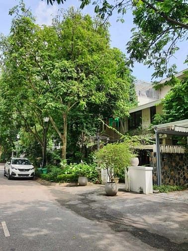 Hình ảnh Bán biệt thự vườn tùng ecopark văn giang, gia lâm