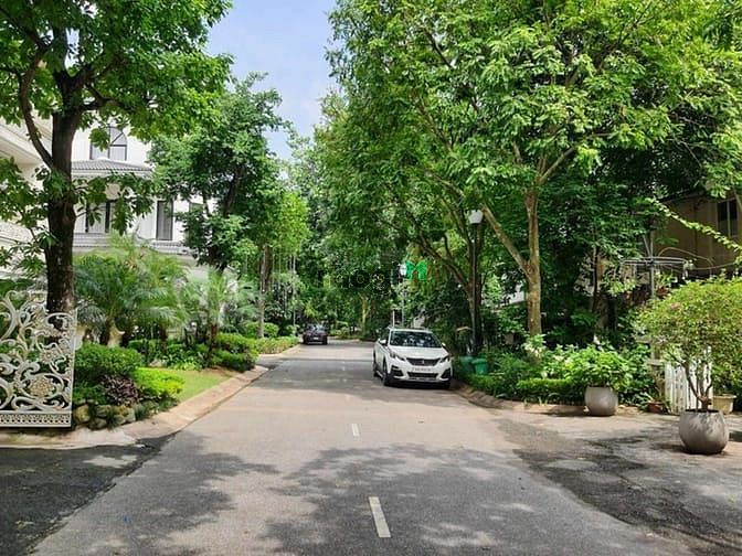 Hình ảnh Bán biệt thự vườn tùng ecopark văn giang, gia lâm