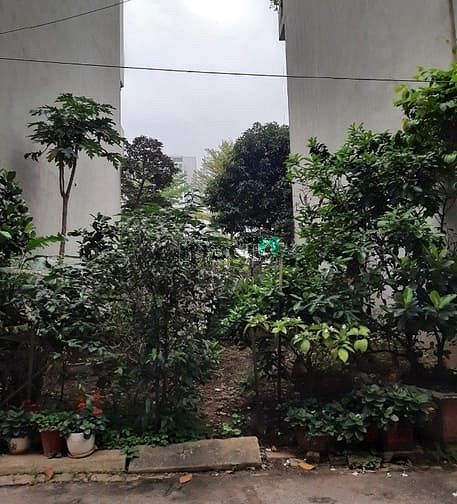 Hình ảnh Đất phân lô TT Pháo Binh, Tân Xuân. Ô tô thông, DT 50m2 MT6m nhỉnh 9ty