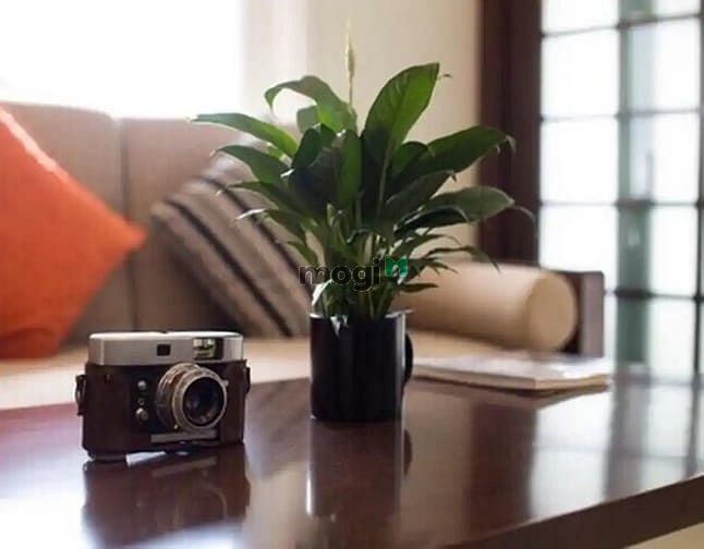 Hình ảnh CHDV 1PN HIRESIDENCE - sài gòn Pearl sát sông sài gòn