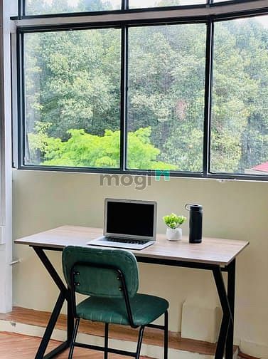 Hình ảnh Cho thuê Trang Chủ MB66.COM / Đăng Ký Tặng 66K Studio Full nội thất Cửa sổ lớn gần ngã tư Bảy Hiền