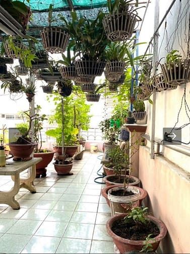 Hình ảnh Bán nhà hẻm 7m Đồng Đen, Tân Bình, 66m2, 3 tầng, 9.799 tỷ