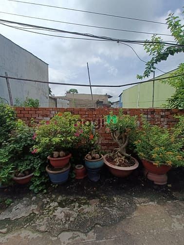 Hình ảnh Đất ở đường Phan Văn Hớn gần Ủ Ban Xã và Chợ Xuân Thới Thượng Hóc Môn