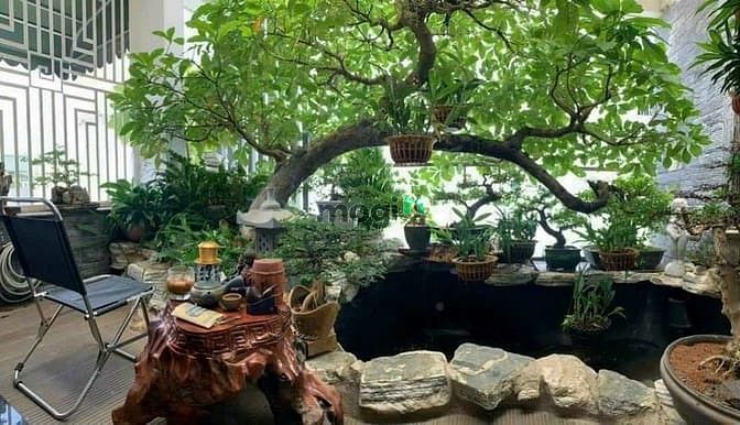Hình ảnh Biệt thự siêu siêu đẹp sau chợ tăng nhơn Phú b
