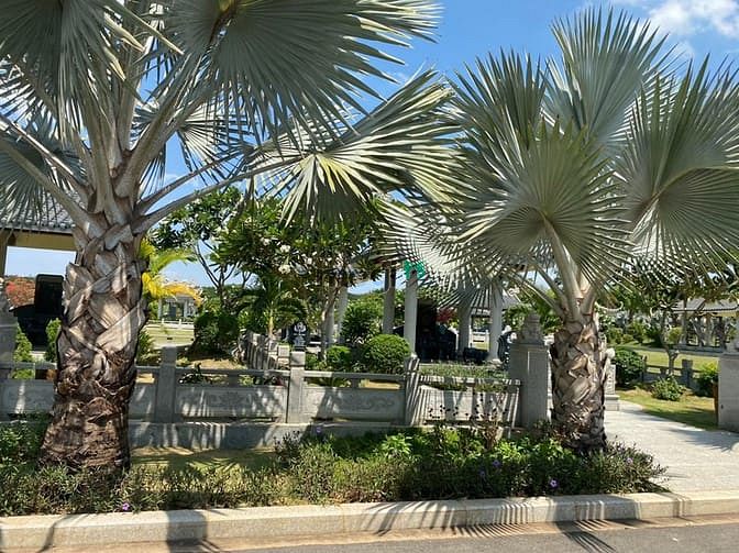 Hình ảnh Bán đất nền dự án Vĩnh Hằng Long Thành Đồng Nai