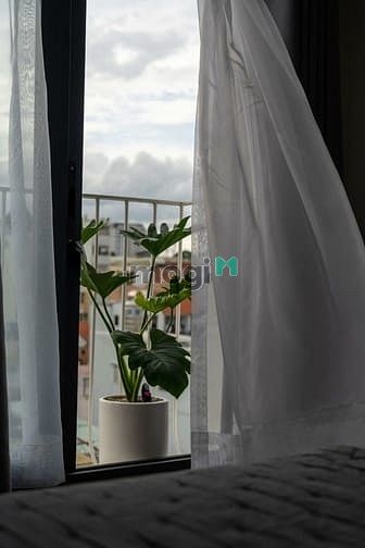 Hình ảnh ✅ Cho thuê Trang Chủ MB66.COM / Đăng Ký Tặng 66K duplex cao cấp ✅