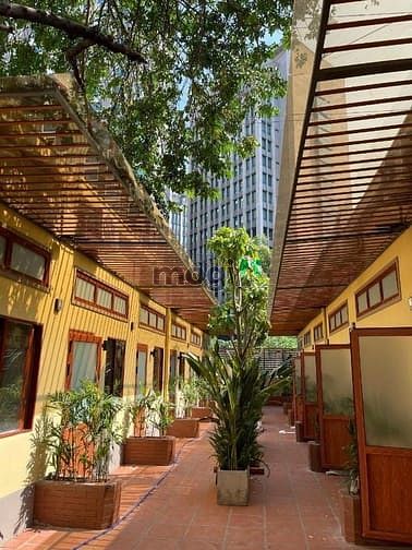 Hình ảnh ✅Căn Hộ Duplex🌟Nội thất cao cấp_Cửa sổ lớn_Sân vườn_Phạm Viết Chánh✅
