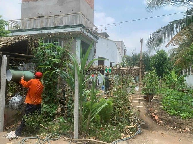 Hình ảnh Đất mặt tiền đường 12 tam đa phù hợp xây biệt thự nhà vườn