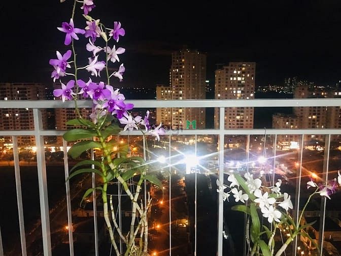 Hình ảnh Bán Nam Phúc rẻ nhất 110m2 thiết kế 3PN 2WC. View biệt thự xanh mát.