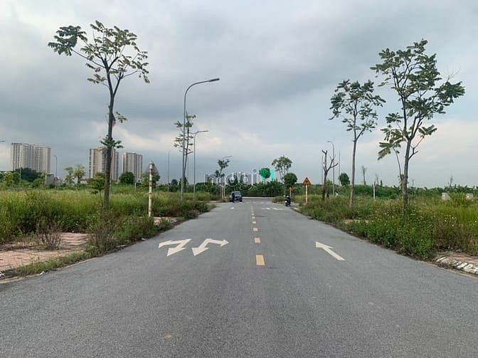 Hình ảnh Bán 97m đất đấu giá Cự Khối dãy TT4, dùng làm nhà vườn, trụ sở