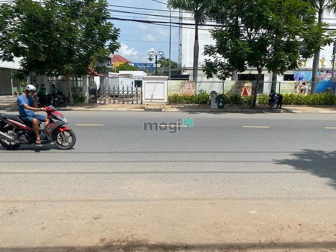 Hình ảnh Cho Thuê đất Nguyễn Cửu Phú Q.Bình Tân hơn 1000m2
