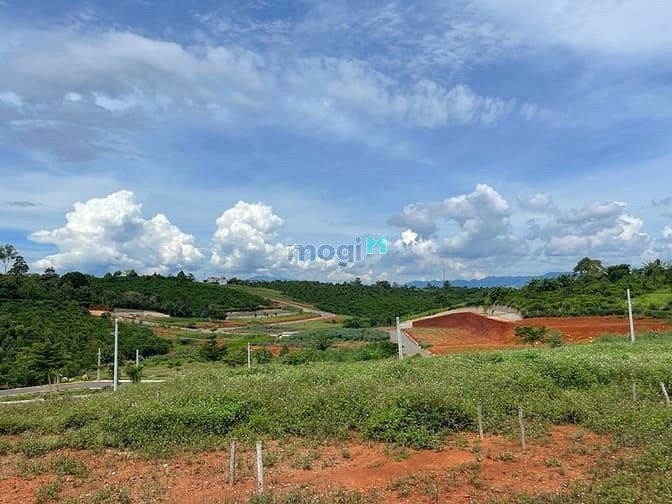 Hình ảnh Bán đất gần chợ Lộc An - cách quốc lộ 20 chỉ 200m.