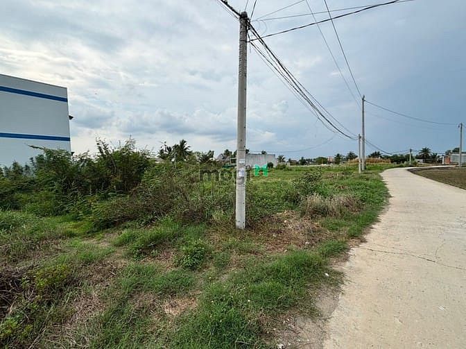 Hình ảnh Bán gấp lô đất ở Xã Long Cang, Huyện Cần Đước, Tỉnh Long An