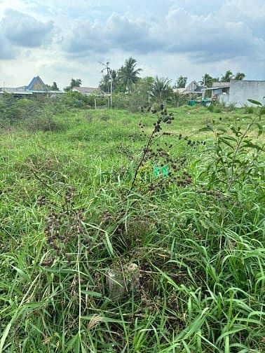 Hình ảnh Bán gấp lô đất ở Xã Long Cang, Huyện Cần Đước, Tỉnh Long An
