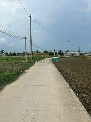 Hình ảnh Bán 1 nền Đất ở mặt tiền đường Cây Mắm , ấp 1