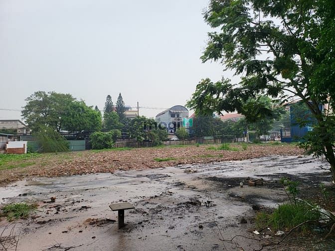 Hình ảnh 2000 m2 đất thổ cư 2 MT đường Công Lý, phường Bình Thọ, Tp Thủ Đức 165