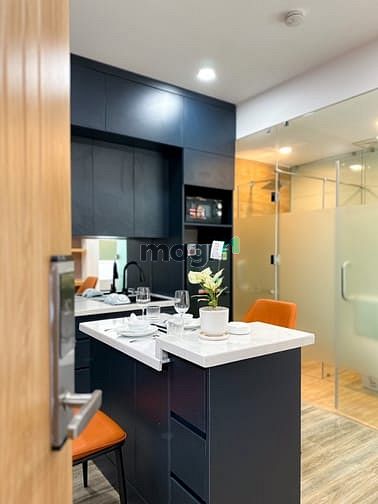 Hình ảnh Cho Thuê Căn Hộ Full Nội Thất Hoàng Việt Tân Bình Gần Lotte Cộng Hoà