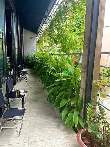 Hình ảnh Mt Hoàng Văn Thụ, Dt 295m2, Ngang 5,12m , Đg 10m, Lề 5m, Giá 45 Tỷ.