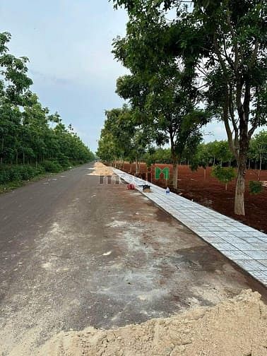 Hình ảnh Đất ngộp giá siêu rẻ ở Bình Phước