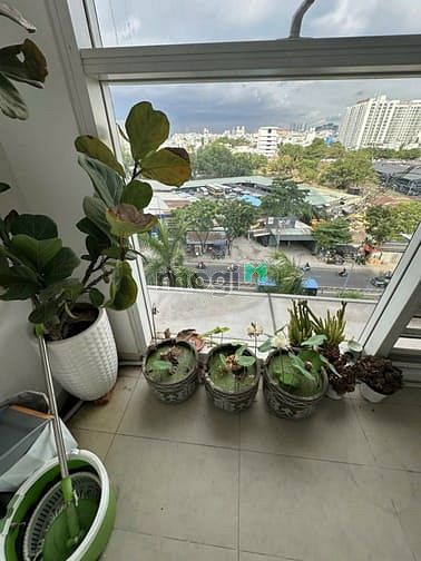 Hình ảnh Chuyển nhượng SUNRISE CITY Q7_nhà siêu đẹp_có ban công
