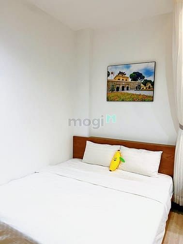 Hình ảnh Mb6623 nạp rút nhanh chóng studio full nội thất có cửa sổ lớn gần sân bay Tân Sơn Nhất