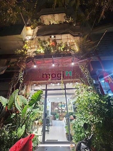 Hình ảnh 𝐌ặ𝐭 𝐭𝐢ề𝐧 đẹ𝐩 🌸𝐋ề 𝐫ộ𝐧𝐠 🌱𝐐𝐮ậ𝐧 𝟏 𝐘𝐞𝐫𝐬𝐢𝐧🍃